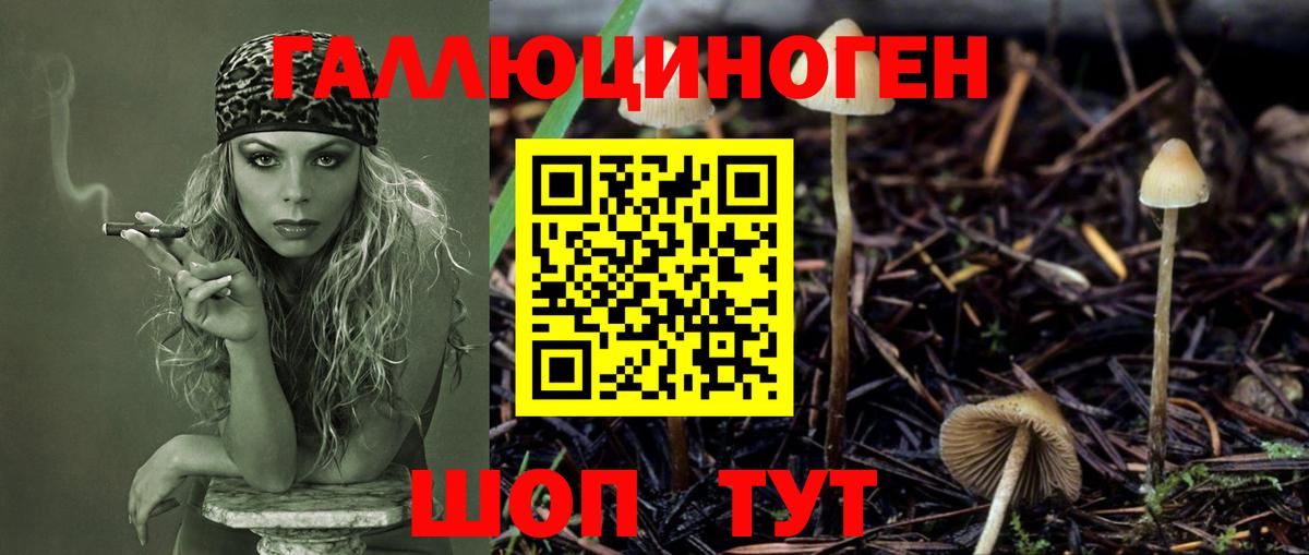 Псилоцибиновые грибы Cubensis  Вход с VPN  Батайск 