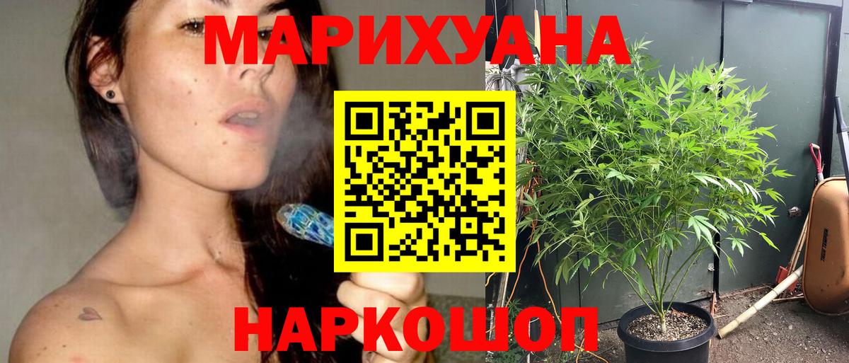 Батайск  Бошки Шишки Bruce Banner  Каннабис планчик  Конопля ГИДРОПОН  МАРИХУАНА индика  Вход с VPN 